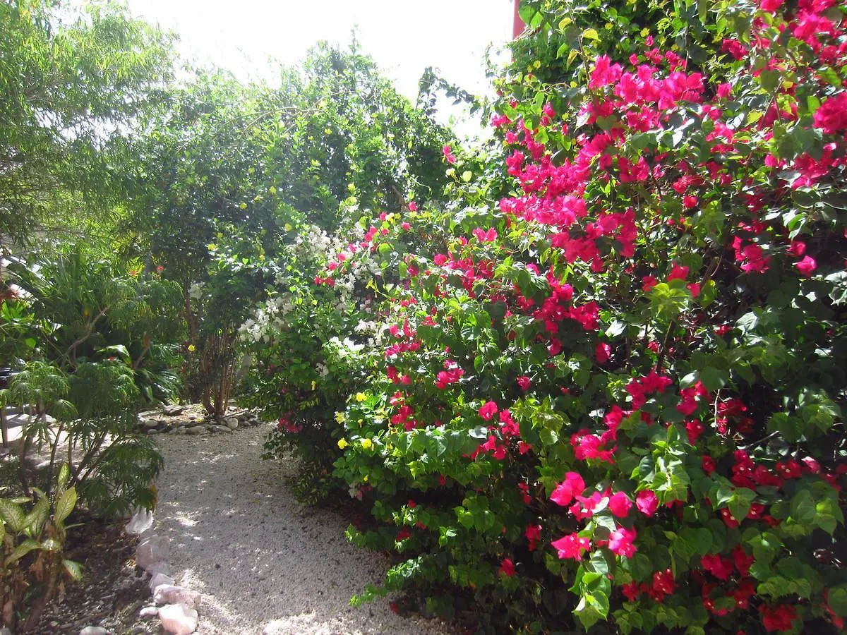 Don Genaro Apartments Barber Curacao