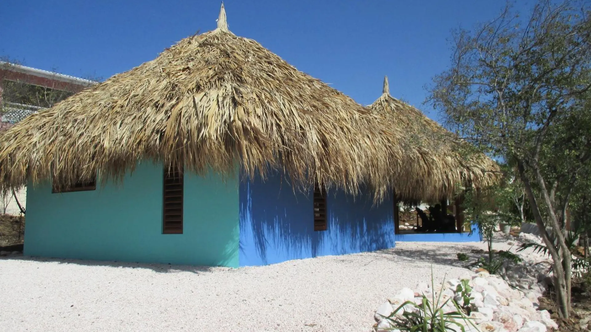 Don Genaro Apartments contacts